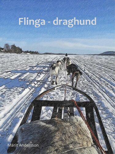 Flinga - draghund