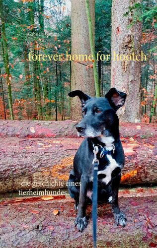 Forever home for Hootch