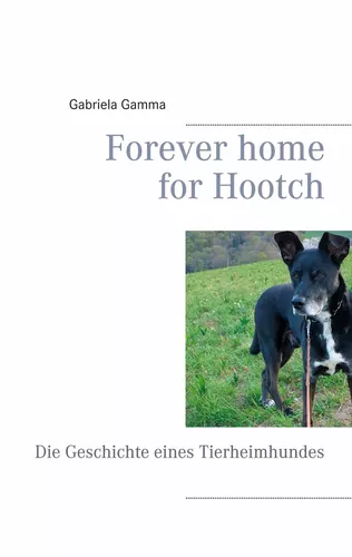 Forever home for Hootch