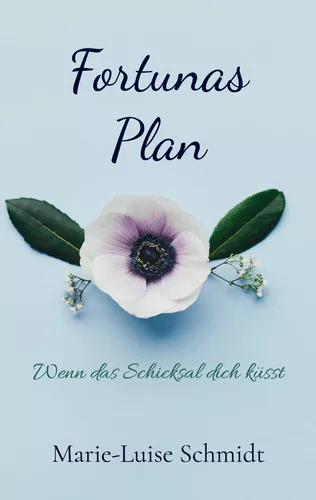 Fortunas Plan