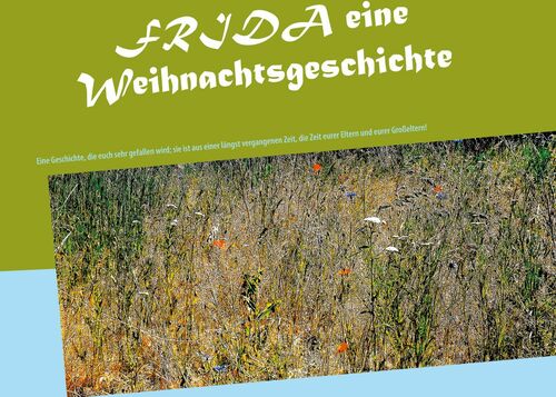 FRIDA eine Weihnachtsgeschichte