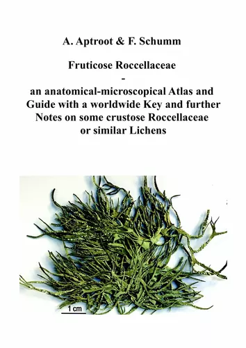Fruticose Roccellaceae