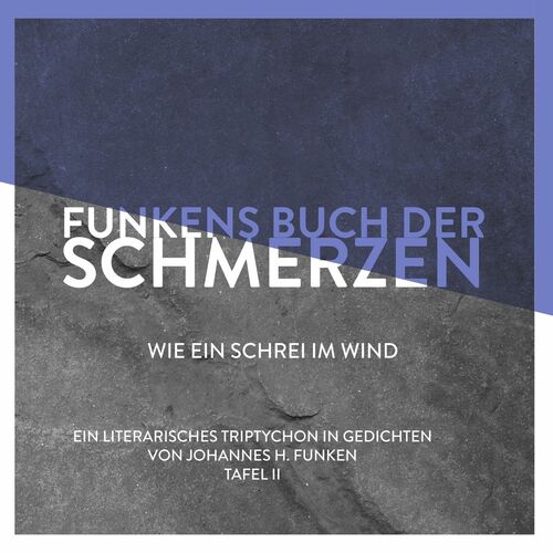 Funkens Buch der Schmerzen