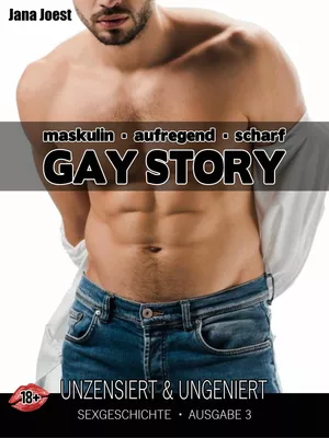 Gay Story - Ausgabe 3