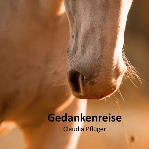 Gedankenreise