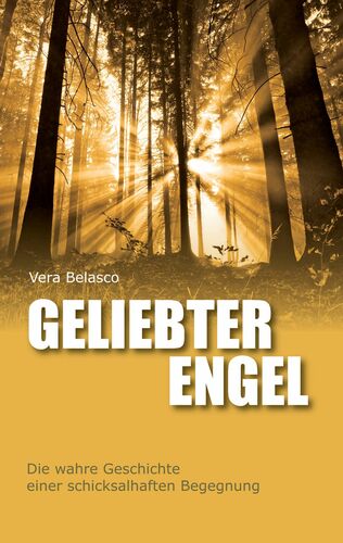 Geliebter Engel