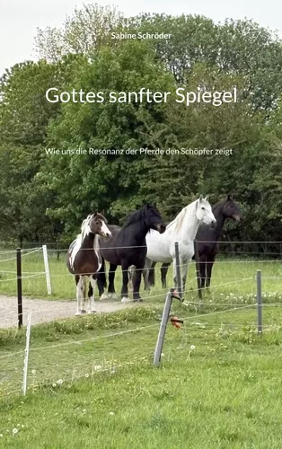 Gottes sanfter Spiegel