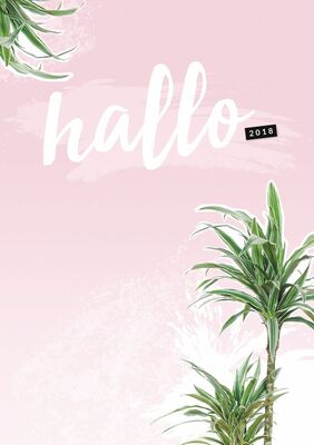 Hallo 2018 - der "Nur was ich mag" Planer