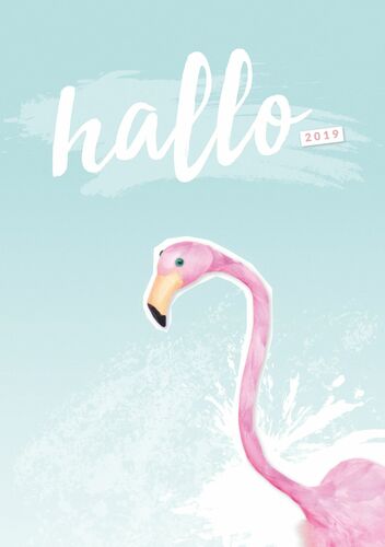 Hallo 2019 - der #nurwasichmag Planer mit Flamingo Cover