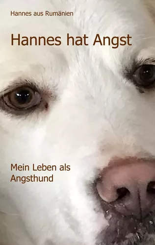Hannes hat Angst