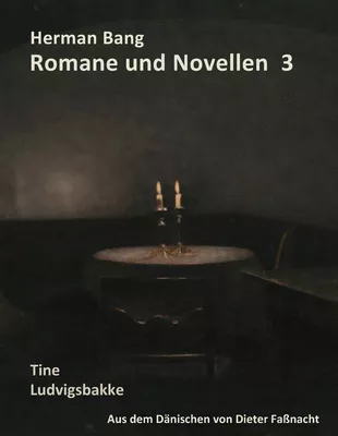 Herman Bang Romane und Novellen Band 3