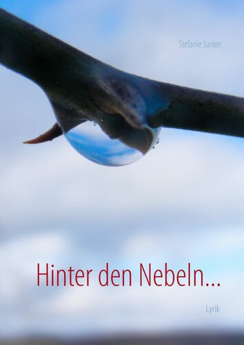 Hinter den Nebeln...