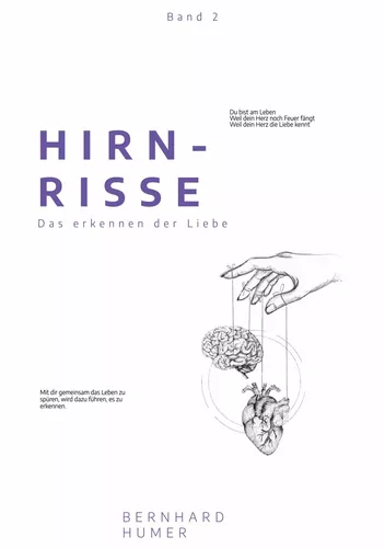 Hirnrisse
