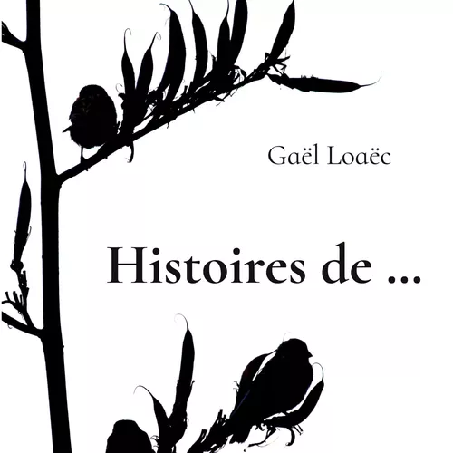 Histoires de...