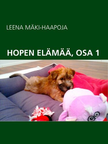 HOPEN ELÄMÄÄ, OSA 1