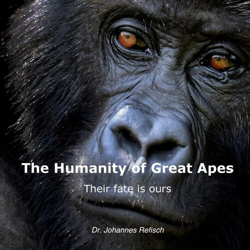 Humanity of Great Apes