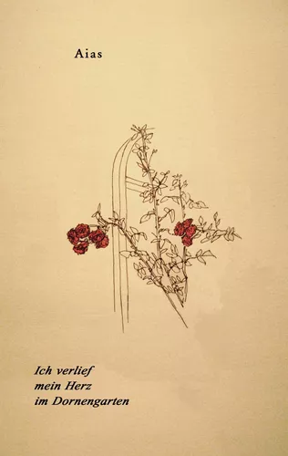 Ich verlief mein Herz im Dornengarten