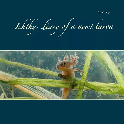 Ichthy, diary of a newt larva