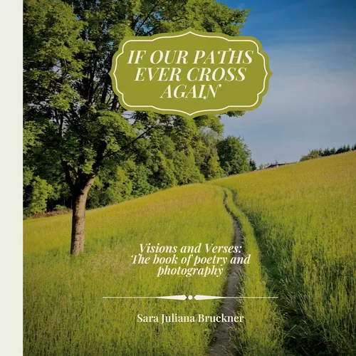 If Our Paths Ever Cross Again
