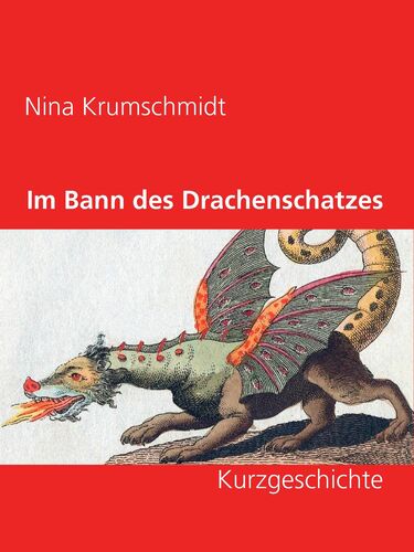 Im Bann des Drachenschatzes