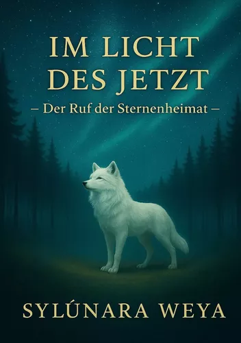Im Licht des Jetzt - Der Ruf der Sternenheimat