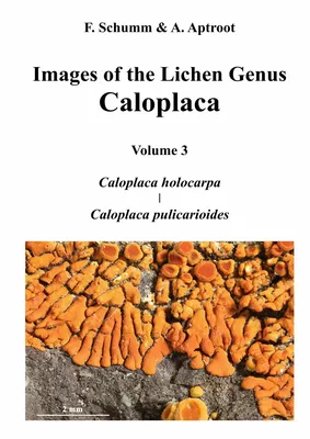 Images of the Lichen Genus Caloplaca, Vol 3