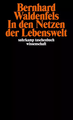 In den Netzen der Lebenswelt