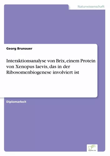 Interaktionsanalyse von Brix, einem Protein von Xenopus laevis, das in der Ribosomenbiogenese involviert ist