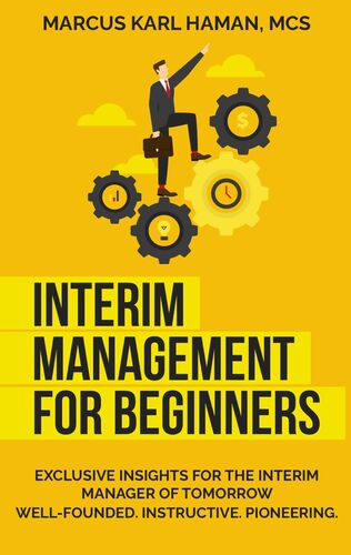 interim management for beginners