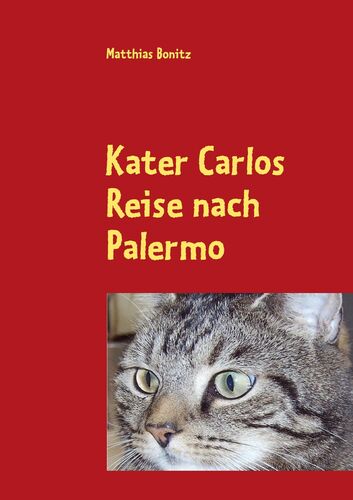 Kater Carlos Reise nach Palermo