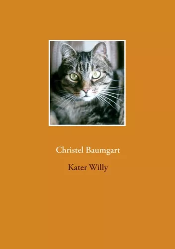 Kater Willy