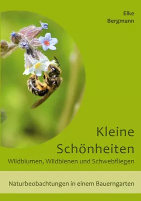 Kleine Schönheiten - Wildblumen, Wildbienen und Schwebfliegen