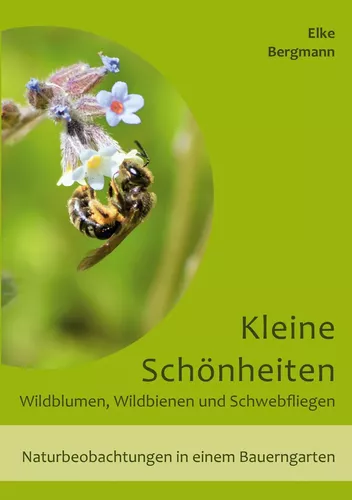 Kleine Schönheiten - Wildblumen, Wildbienen und Schwebfliegen