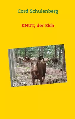 Knut, der Elch