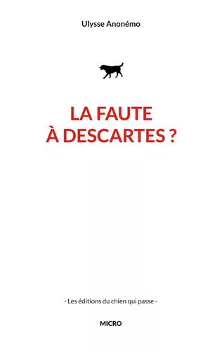 La faute à descartes ?