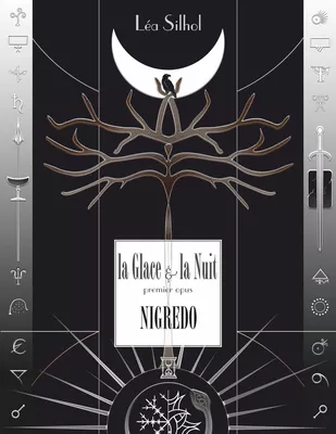 洋書 Apprendre l'art de la Glace et des Sorbe Amazon.co.jp