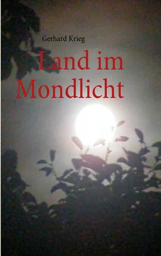 Land im Mondlicht
