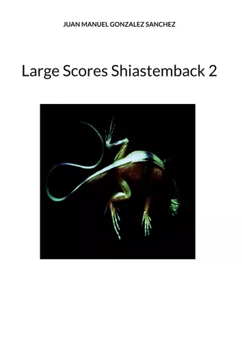 Large Scores Shiastemback 2