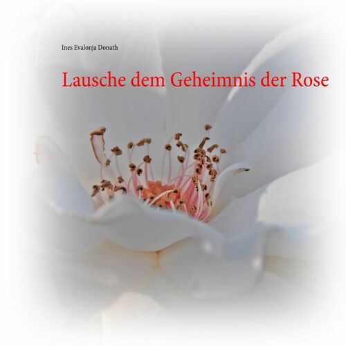 Lausche dem Geheimnis der Rose
