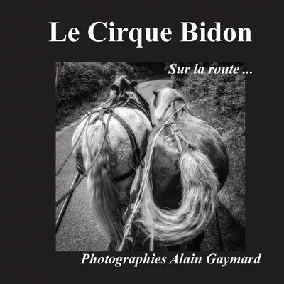 Le cirque Bidon