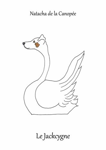 Le Jackcygne