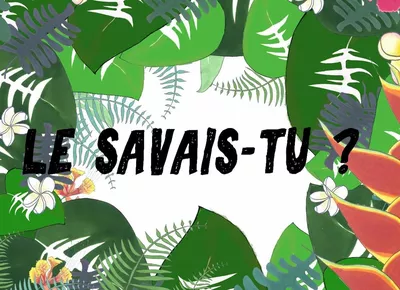 Le Savais Tu