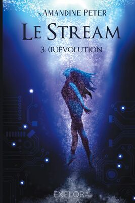 Le Stream - III