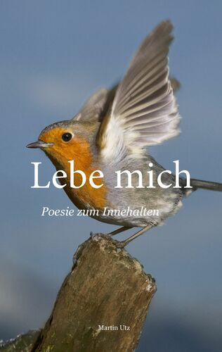 Lebe mich