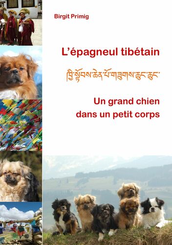 L’épagneul tibétain