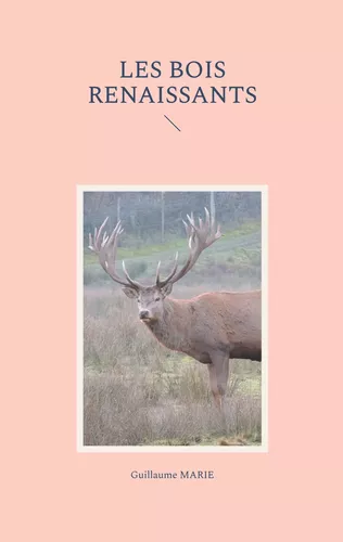 Les bois renaissants