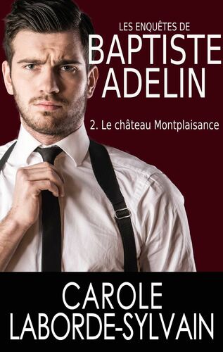 Les enquêtes de Baptiste Adelin