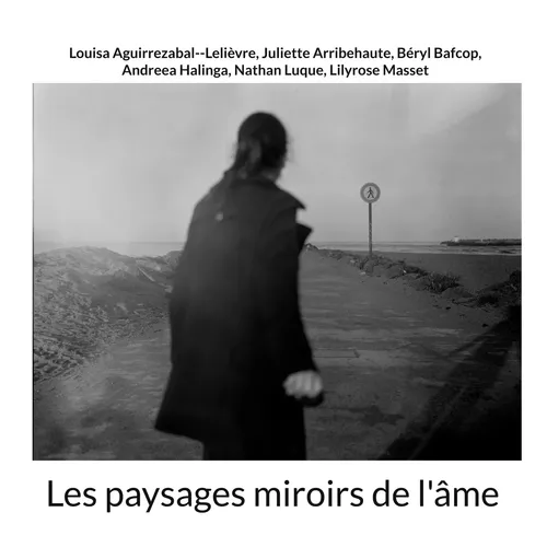 Les paysages miroirs de l'âme