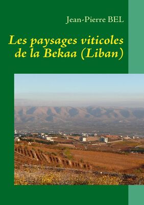 Les paysages viticoles de la Bekaa (Liban)