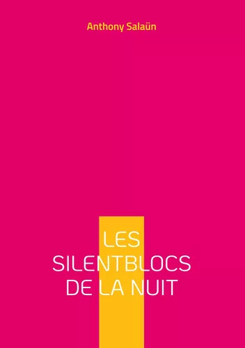 Les silentblocs de la nuit
